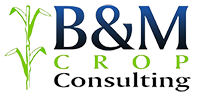 B&M Crop Consulting